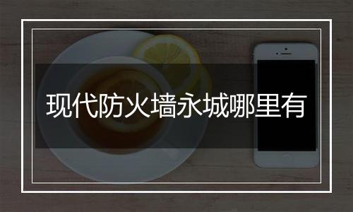 现代防火墙永城哪里有