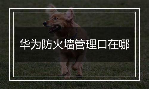 华为防火墙管理口在哪