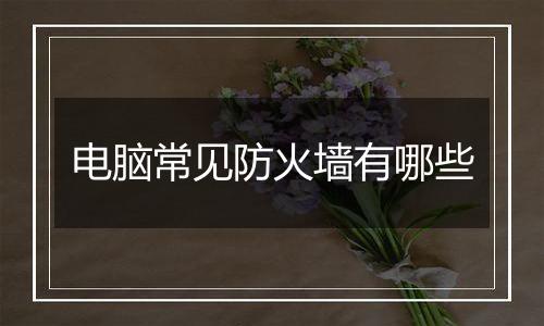 电脑常见防火墙有哪些