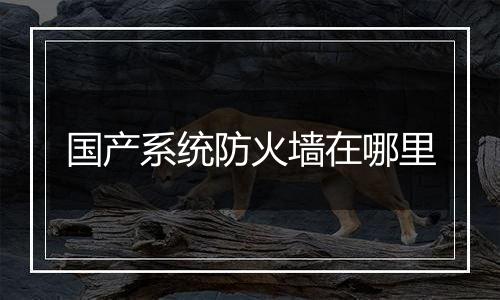 国产系统防火墙在哪里