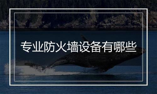 专业防火墙设备有哪些