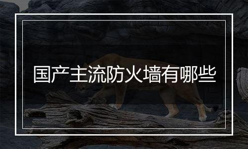 国产主流防火墙有哪些