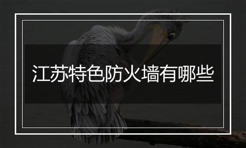 江苏特色防火墙有哪些