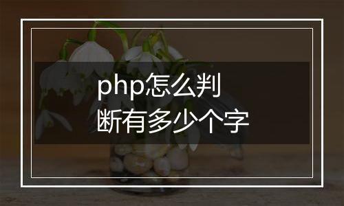 php怎么判断有多少个字