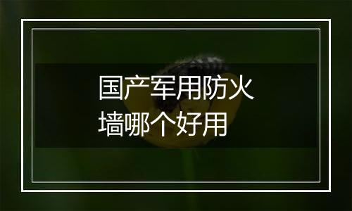 国产军用防火墙哪个好用