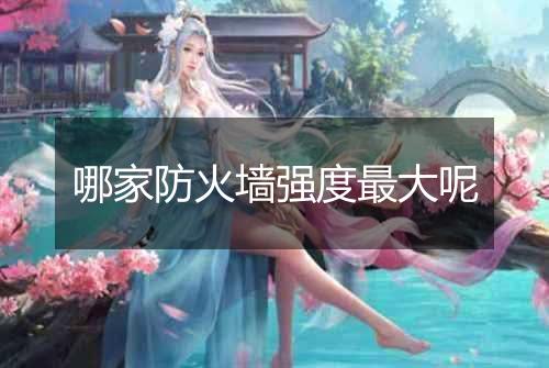 哪家防火墙强度最大呢