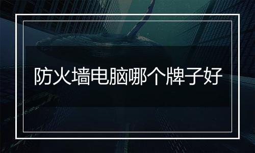 防火墙电脑哪个牌子好
