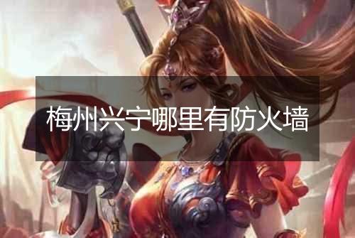 梅州兴宁哪里有防火墙