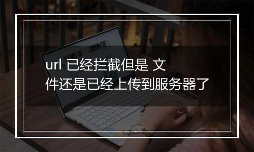 url 已经拦截但是 文件还是已经上传到服务器了