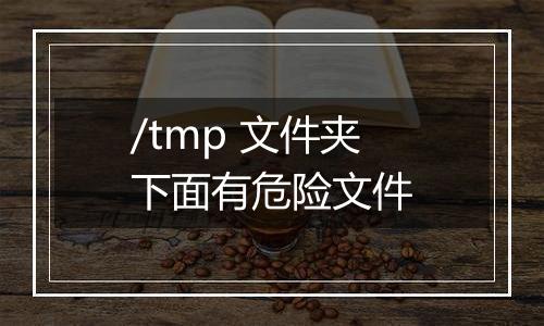 /tmp 文件夹下面有危险文件