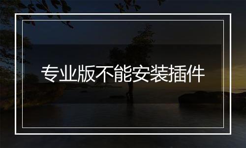 专业版不能安装插件
