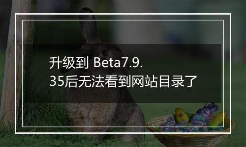 升级到 Beta7.9.35后无法看到网站目录了