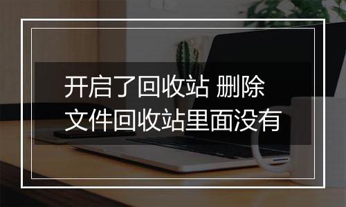 开启了回收站 删除文件回收站里面没有