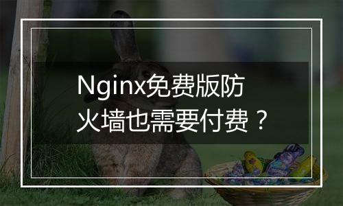 Nginx免费版防火墙也需要付费?