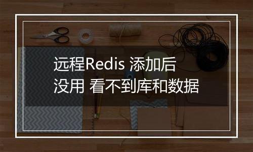 远程Redis 添加后没用 看不到库和数据