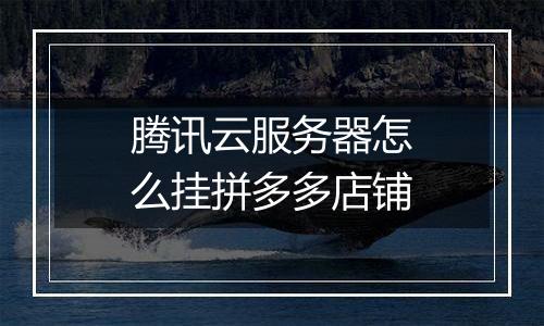 腾讯云服务器怎么挂拼多多店铺