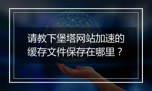 请教下堡塔网站加速的缓存文件保存在哪里?