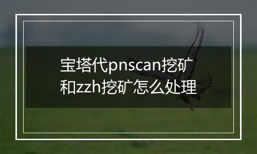 宝塔代pnscan挖矿和zzh挖矿怎么处理