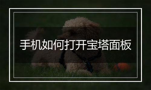 手机如何打开宝塔面板