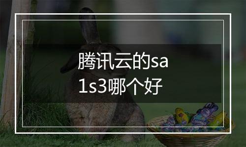 腾讯云的sa1s3哪个好