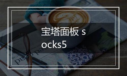 宝塔面板 socks5