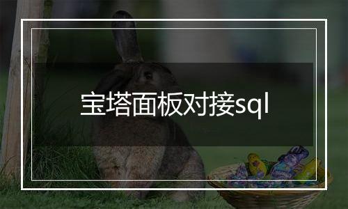 宝塔面板对接sql
