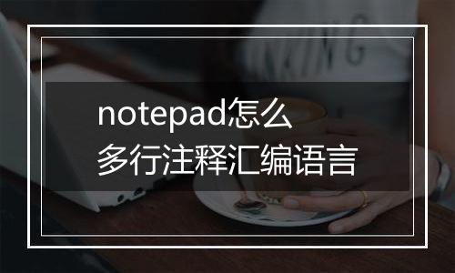 notepad怎么多行注释汇编语言