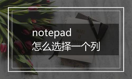 notepad怎么选择一个列