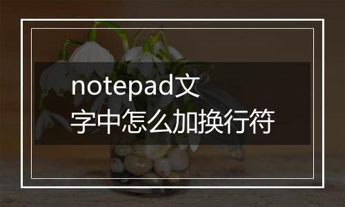 notepad文字中怎么加换行符