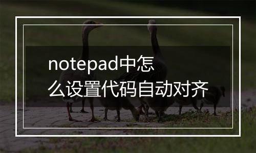 notepad中怎么设置代码自动对齐