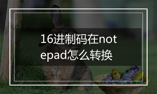 16进制码在notepad怎么转换