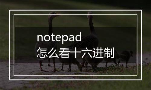 notepad怎么看十六进制