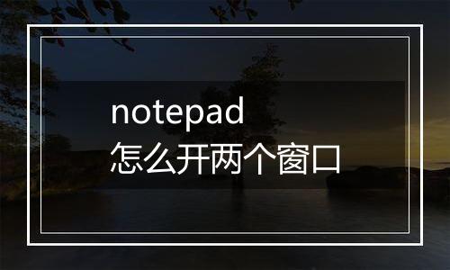 notepad怎么开两个窗口