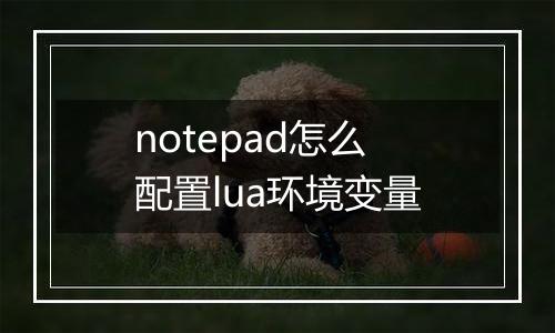 notepad怎么配置lua环境变量