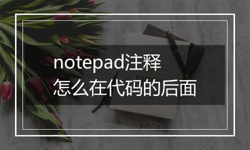 notepad注释怎么在代码的后面