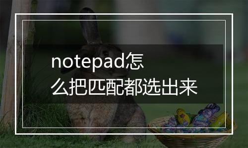 notepad怎么把匹配都选出来