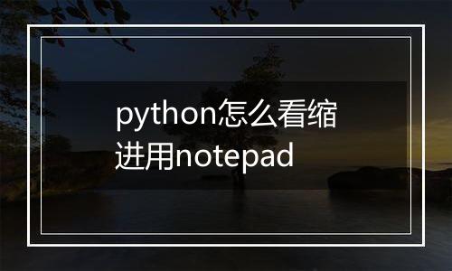 python怎么看缩进用notepad
