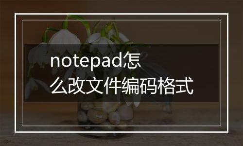 notepad怎么改文件编码格式