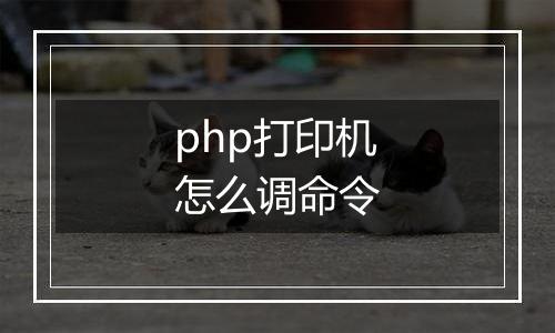 php打印机怎么调命令