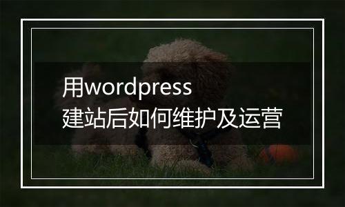 用wordpress建站后如何维护及运营