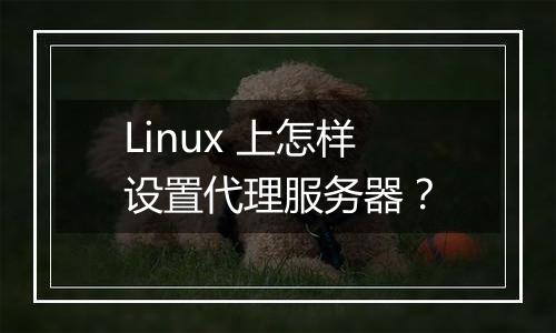 Linux 上怎样设置代理服务器?
