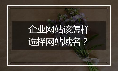 企业网站该怎样选择网站域名？