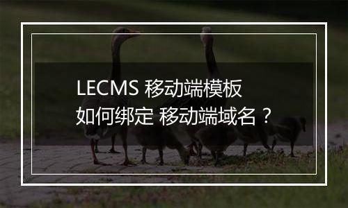LECMS 移动端模板 如何绑定 移动端域名?