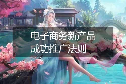 电子商务新产品成功推广法则