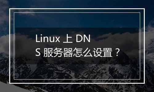 Linux 上 DNS 服务器怎么设置?