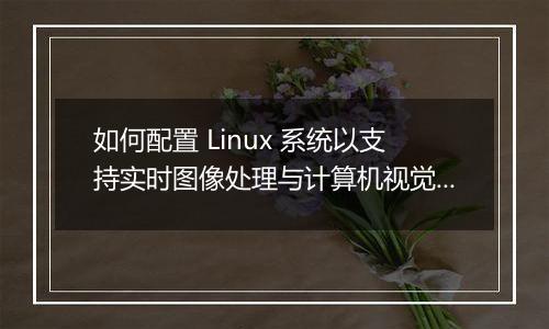 如何配置 Linux 系统以支持实时图像处理与计算机视觉开发?