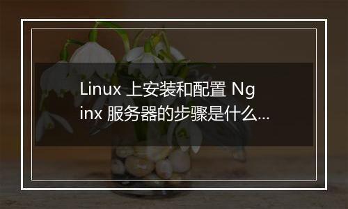 Linux 上安装和配置 Nginx 服务器的步骤是什么?