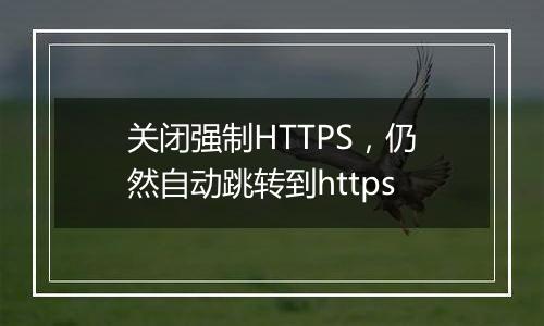关闭强制HTTPS,仍然自动跳转到https