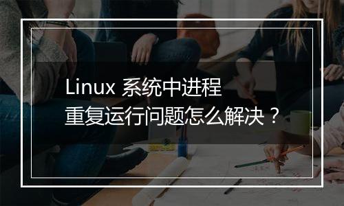 Linux 系统中进程重复运行问题怎么解决？