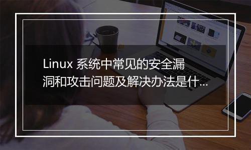 Linux 系统中常见的安全漏洞和攻击问题及解决办法是什么？